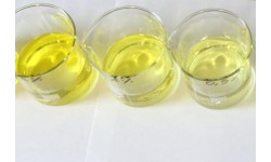 SOLVENT YELLOW 79